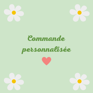 Commande Petra